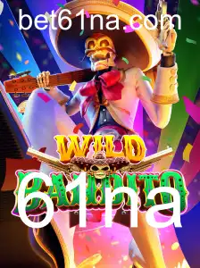 Descubra o Fascinante Jogo WildBandito